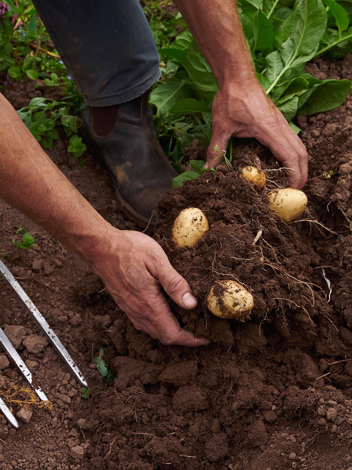 My Image